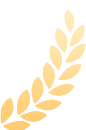 2.gif